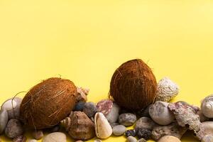Coconuts, rocks and shells on a yellow background .Marine theme photo
