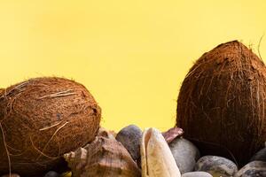 Coconuts, rocks and shells on a yellow background .Marine theme photo