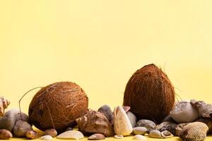 Coconuts, rocks and shells on a yellow background .Marine theme photo