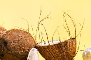 coconuts and shells on a yellow background .Marine theme photo