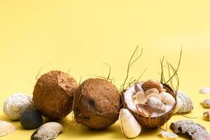coconuts and shells on a yellow background .Marine theme photo