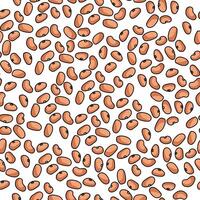 Seamless pattern of seeds of beans of gentle brown color on a white background, nutritious grain legumes illustration vector