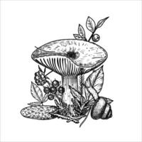 Hand draw mushrooms with pine cone, moss, berries, snail. illustration vector