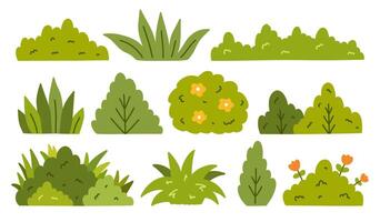 A set of bushes of various shapes isolated on a white background. hand-drawn illustration in a flat style. Perfect for cards, decorations, logo, various designs. vector