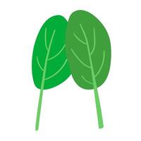 Spinach. Flat design. Illustration on white background. vector