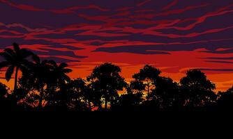 Beautiful sunset in forest with colorful sky and silhouette of trees vector