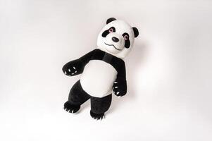 Toy big panda with a man inside on a white background photo