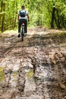 A group of cyclists with backpacks ride bicycles on a forest road enjoying nature photo