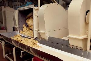 cookie making machine in the factory photo