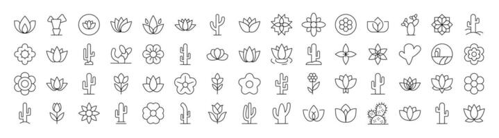 Set of Flower Related Line Icons. Editable Stroke for Design, Web Sites, Apps, Cards. Contains Linear Images of Plants with Petals and Cactuses vector