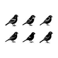 Stylish sparrow bird with line art design, perfect for various projects vector