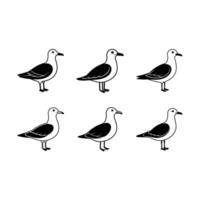 Seagull Bird Line Art Design for Creative Projects vector