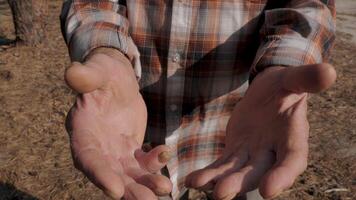 The old master shows his working hands, callused and roughened from long hours of work as a carpenter. video