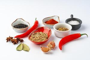 Set of spices in bowls with chili peppers on white background photo