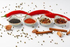 Set of spices in bowls with chili peppers on white background photo