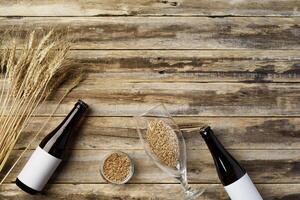 A bottle of beer and grain. Top view. Free space for text. photo