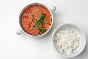 Bowl of curry with pieces of meat and a side of steamed rice arranged neatly for a meal photo