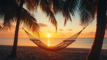A peaceful sunset view over a beach with a hammock between palm trees swaying gently in the warm evening breeze photo