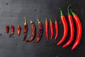 Red peppers on a black background top view photo
