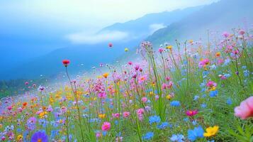 Vibrant wildflower meadow in the mountains under a misty sky during early morning light photo