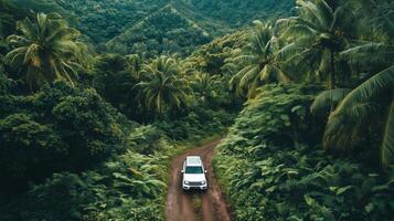 A white SUV navigates a winding dirt road through a lush green jungle surrounded by tall palm trees on a bright sunny day photo