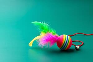 Pet toys on green background studio shot photo