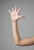 Womans Arm Extended Up in Gesture photo