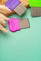 Three combs for lice removing on green background photo