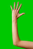 Human Hand Gesturing Against a Vibrant Green Background in Studio Setting photo