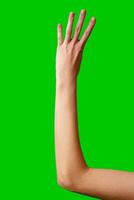 Close-Up of a Hand Gesturing Four Against a Green Background photo