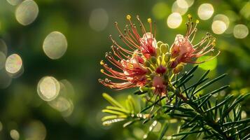 Beautiful close-up of a flowering plant with vibrant pink blooms and soft green foliage during a sunny afternoon photo