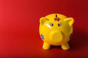 Piggy bank on red background photo