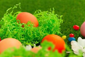 Close up photo of colored Easter eggs and candies on grass