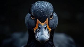 A close-up portrait of a cormorant displaying detailed features in a natural environment during early morning light photo