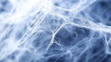 Delicate strands of gossamer create intricate patterns against a soft blue background in this close-up shot photo