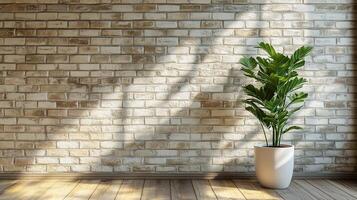 A modern indoor plant thrives against a rustic brick wall in a sunlit room during the afternoon photo