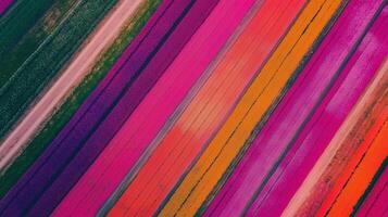 Vibrant aerial view of colorful striped fields showcasing a stunning array of flowers in full bloom during springtime photo