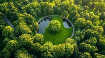 Lush green park featuring a circular pond surrounded by dense trees on a sunny day photo