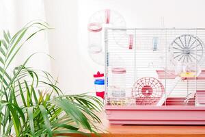 A vibrant hamster cage with wheels and accessories set against a backdrop of green leaves indoors photo