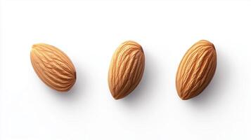 Three raw almonds arranged neatly on a white background highlighting their natural shape and texture in soft lighting photo
