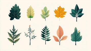 A variety of illustrated leaves showcasing unique shapes and colors arranged in two rows on a light background photo
