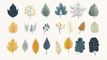 A collection of artistic leaf illustrations showcasing various shapes, colors, and textures arranged harmoniously on a light background photo