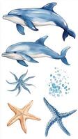 Two playful dolphins swimming alongside starfish and a vibrant starfish collection in a marine theme design photo
