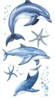 Whales and starfish swimming together in an ocean-themed illustration featuring serene marine life in calming blue tones photo