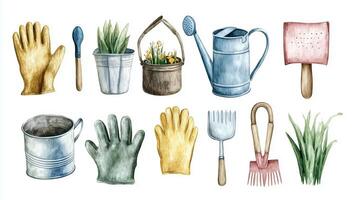 Colorful gardening tools and supplies arranged for planting and cultivating flowers and vegetables in a backyard garden setting photo