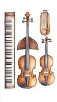 A collection of musical instruments featuring violins, a keyboard, and a lyre displayed artistically on a white background photo