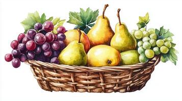A colorful basket filled with fresh fruits including grapes and pears displayed on a white background photo