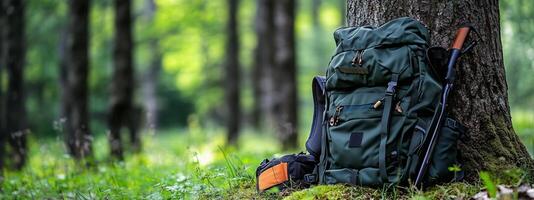 A green backpack rests against a tree in a serene forest during daylight with lush greenery and soft sunlight filtering through the leaves photo