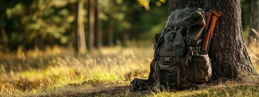 A large green backpack rests against a tree in a sunlit forest during autumn, surrounded by golden grass and tall trees photo