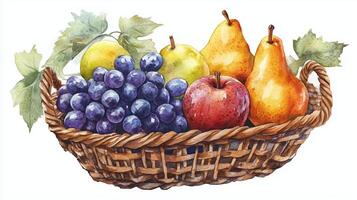 A beautifully arranged wicker basket overflowing with fresh fruits including apples, pears, and grapes on a light background photo
